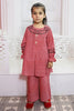 Khaddar Printed 2 Piece Suit(M-2)